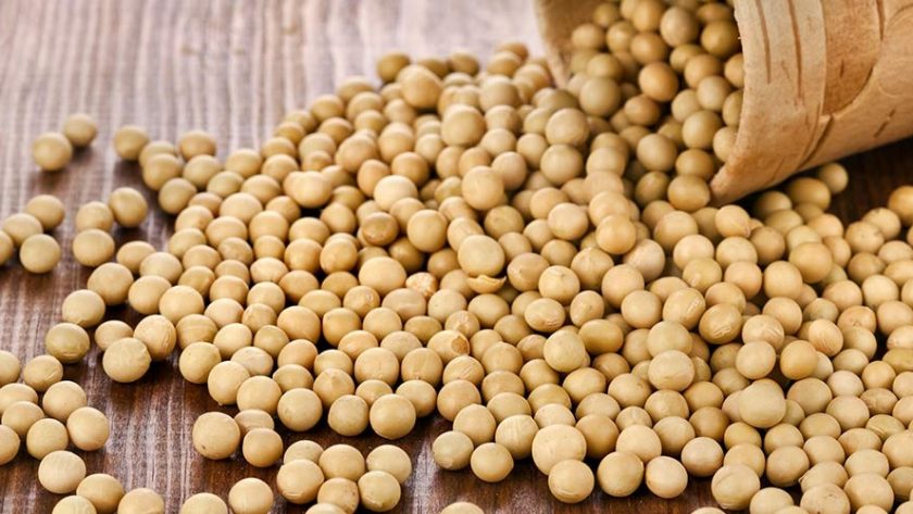 Soybean benefits for men