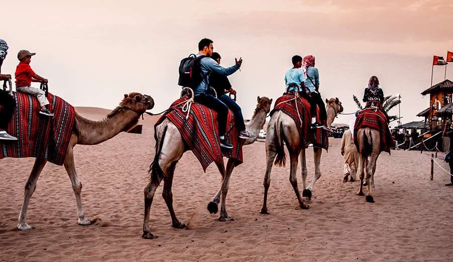 Best Deals Desert Safari Dubai & Packages 2022