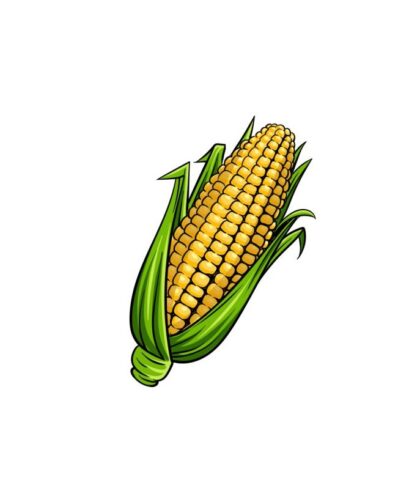 How To Draw Corn